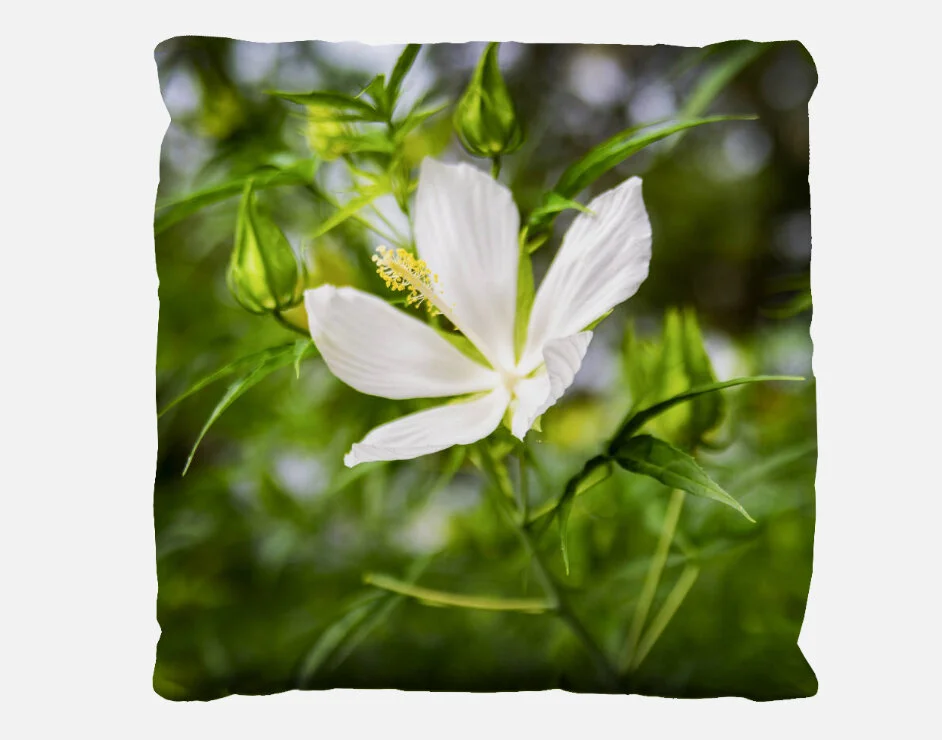 Single Beauty Pillow Case