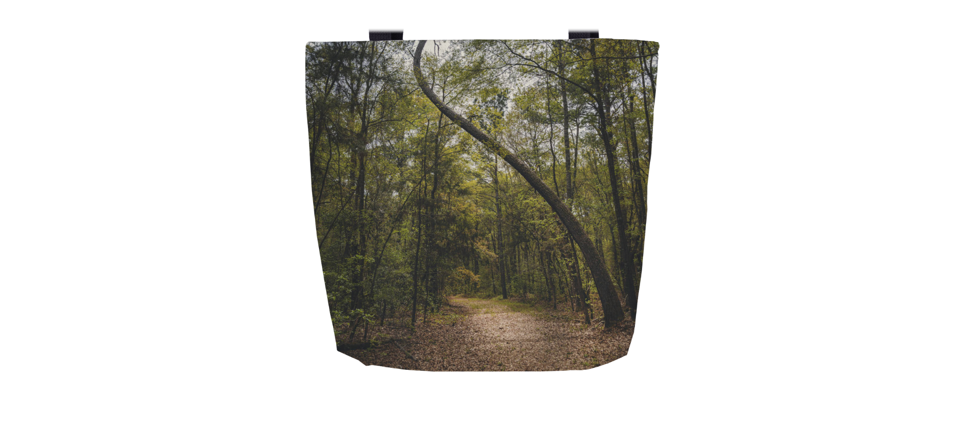 Path of Bends Bag