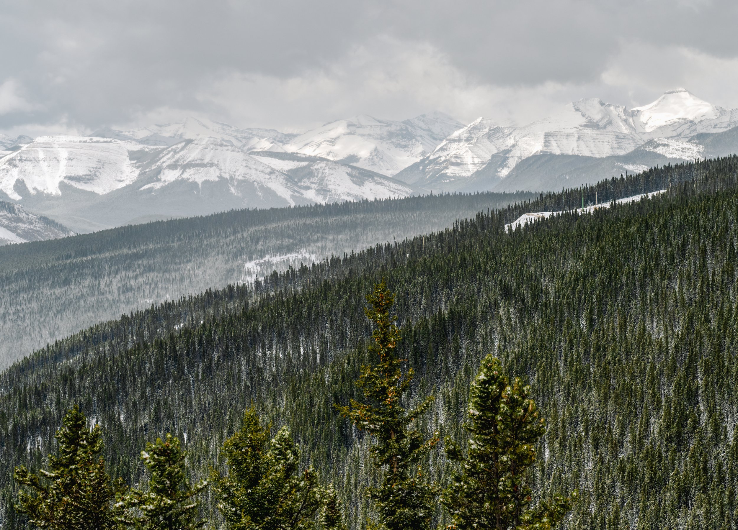 _DSC9410-Edit-Edit-Edit.jpg