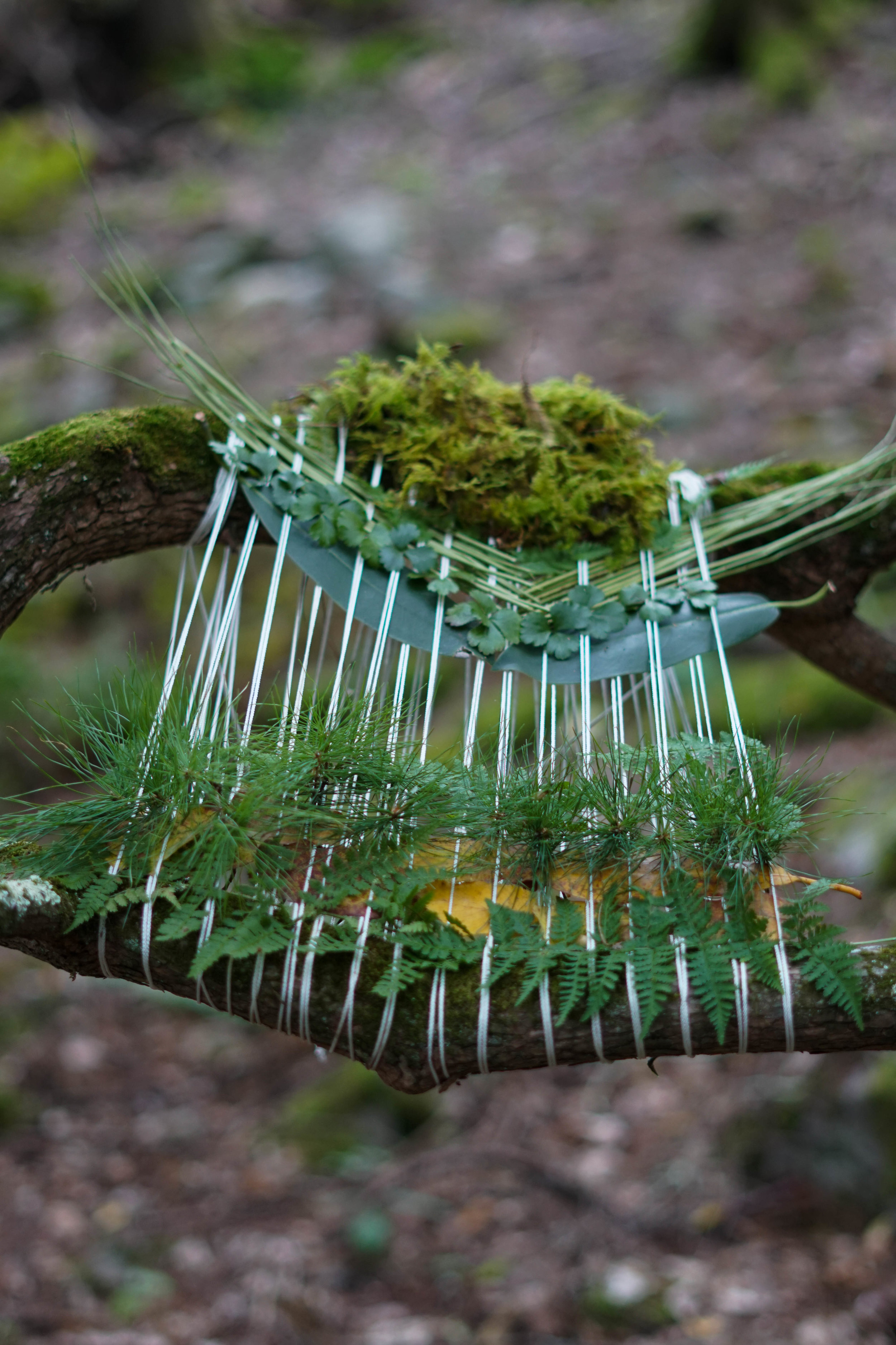 tree weavingtreaving? — kelsey holtaway