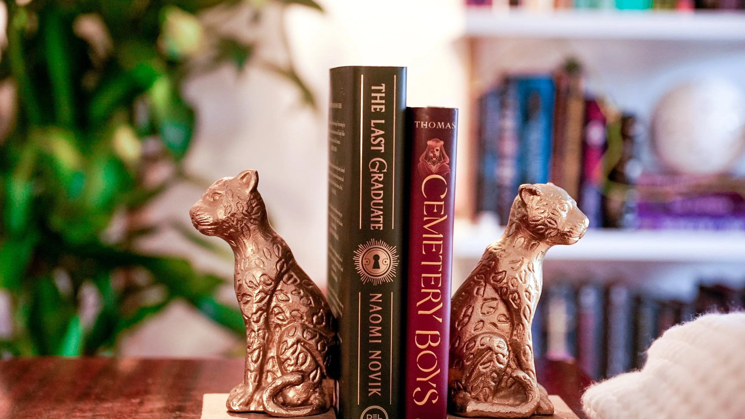 Three Favorite Books [Oct 2021]