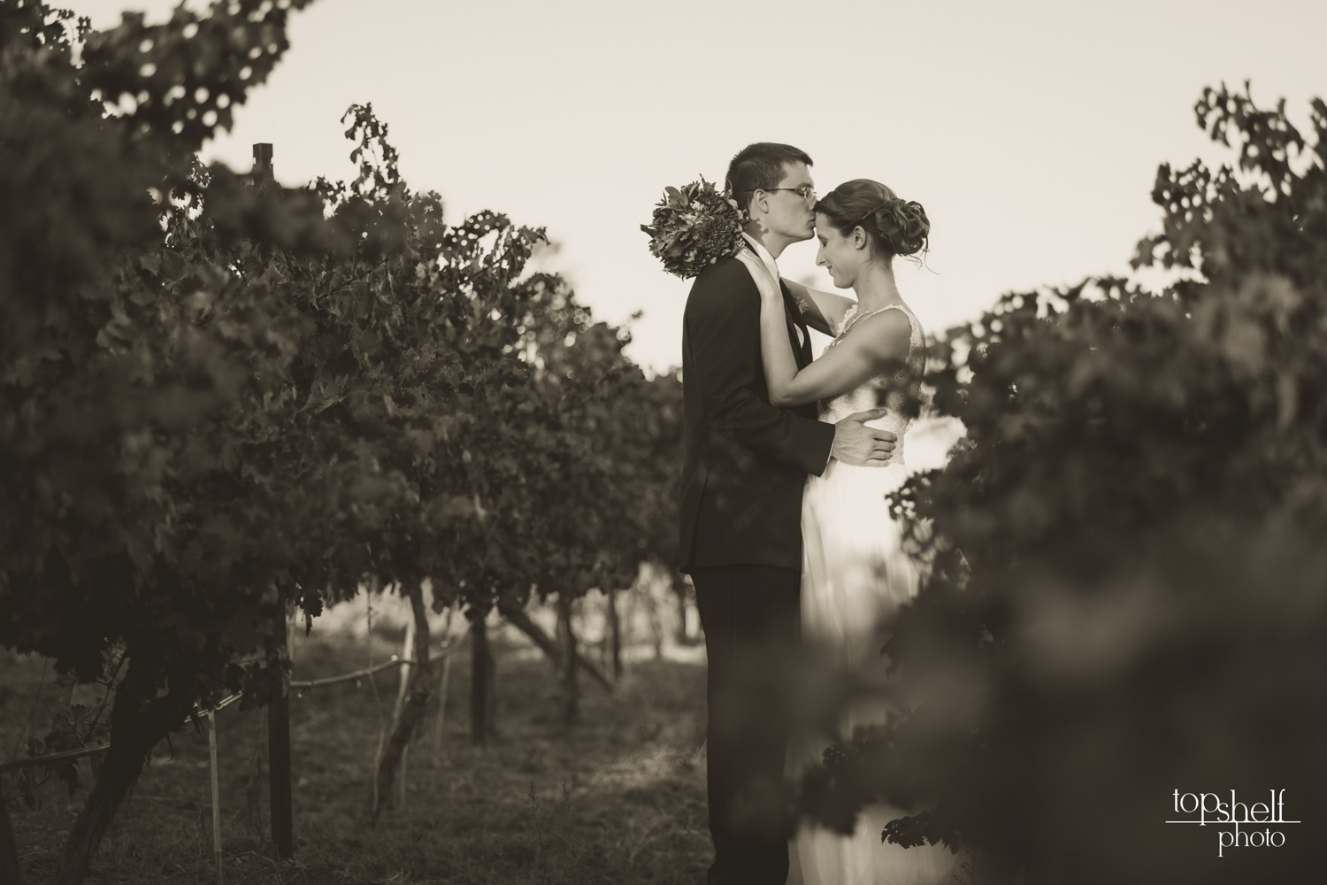 cordiano-winery-wedding-san-diego-top-shelf-photo-2.jpg