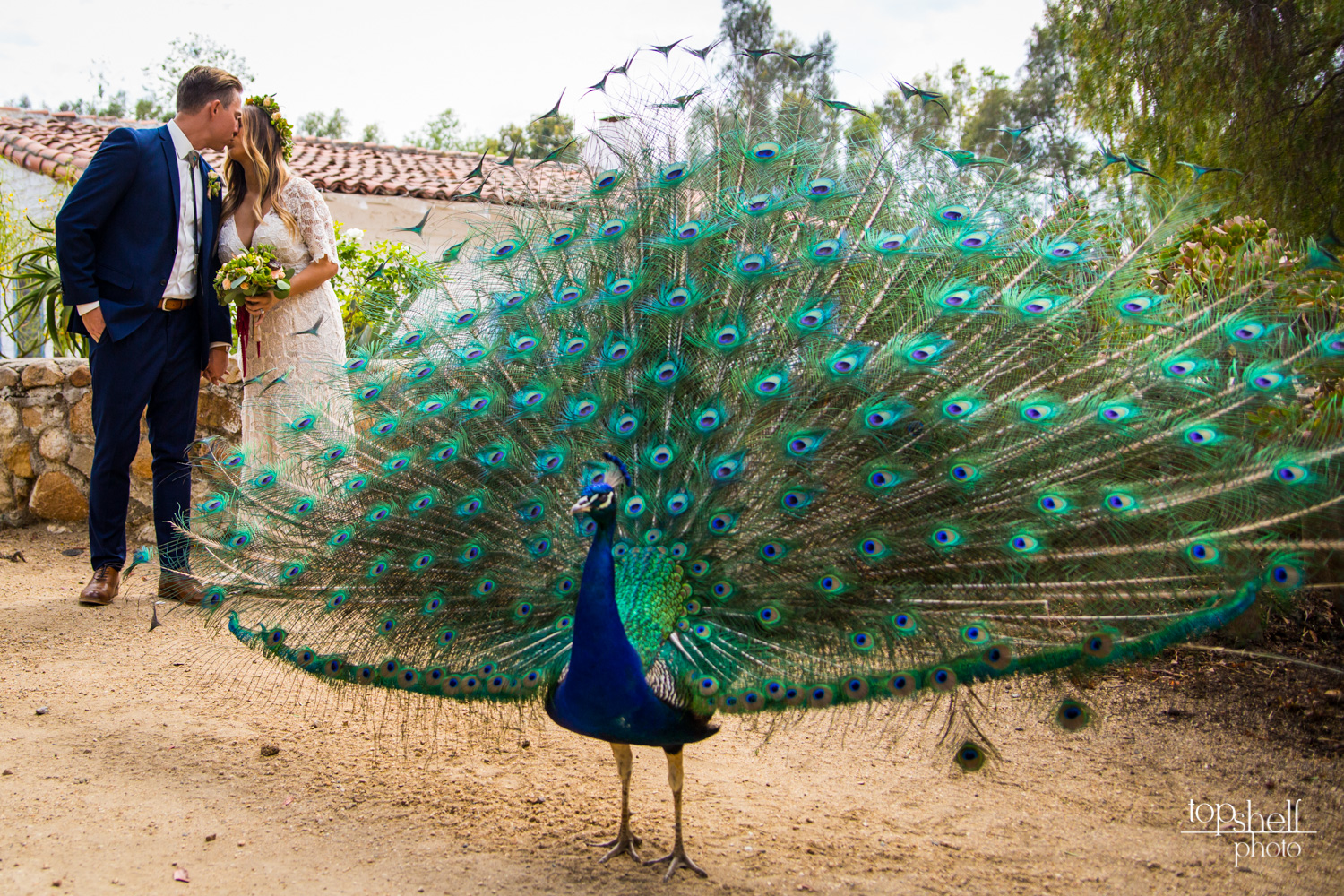 leo-carrillo-carlsbad-wedding-san-diego-top-shelf-photo-8.jpg