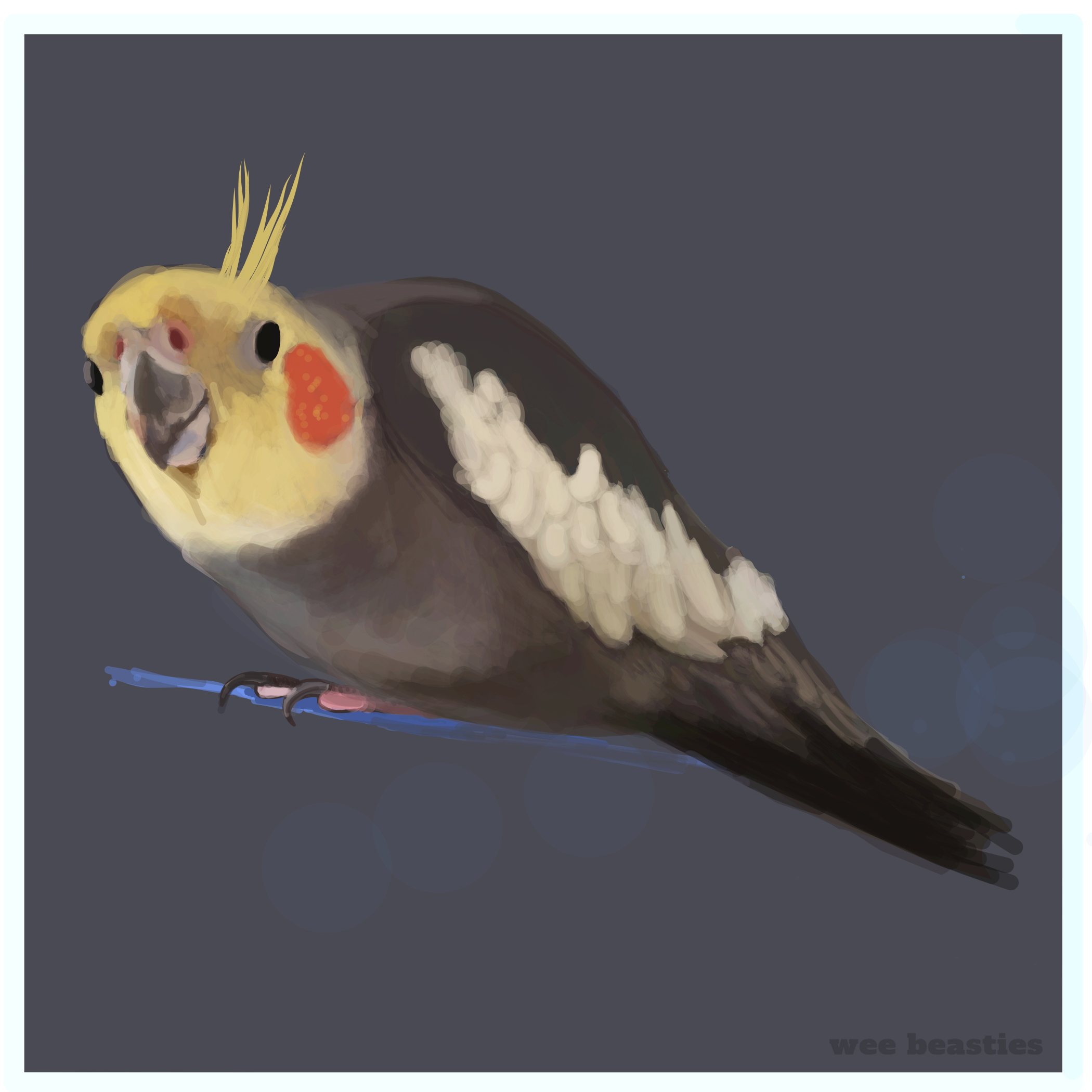 Cockatiel.jpg