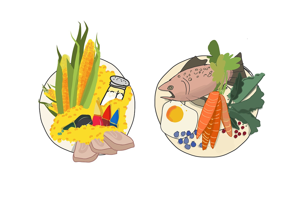Illustration for a pet food company, 2017