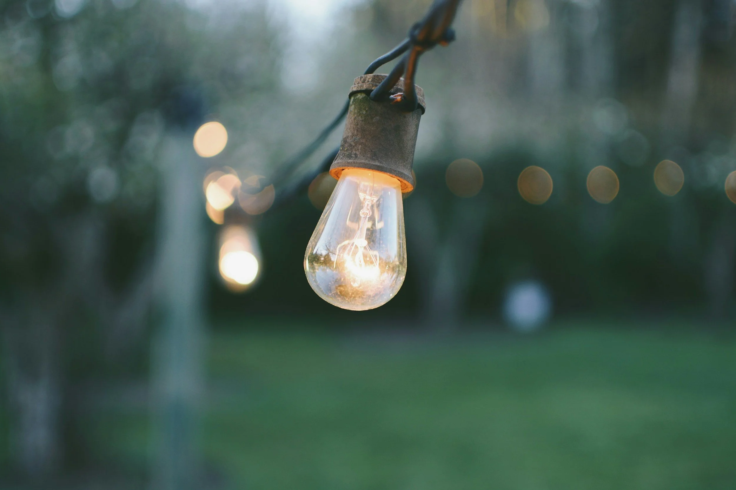 lightbulb