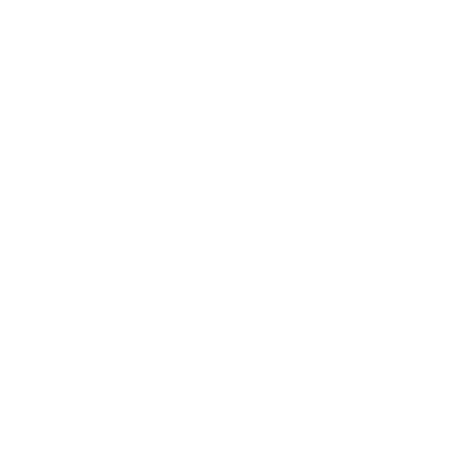 The Speech Network