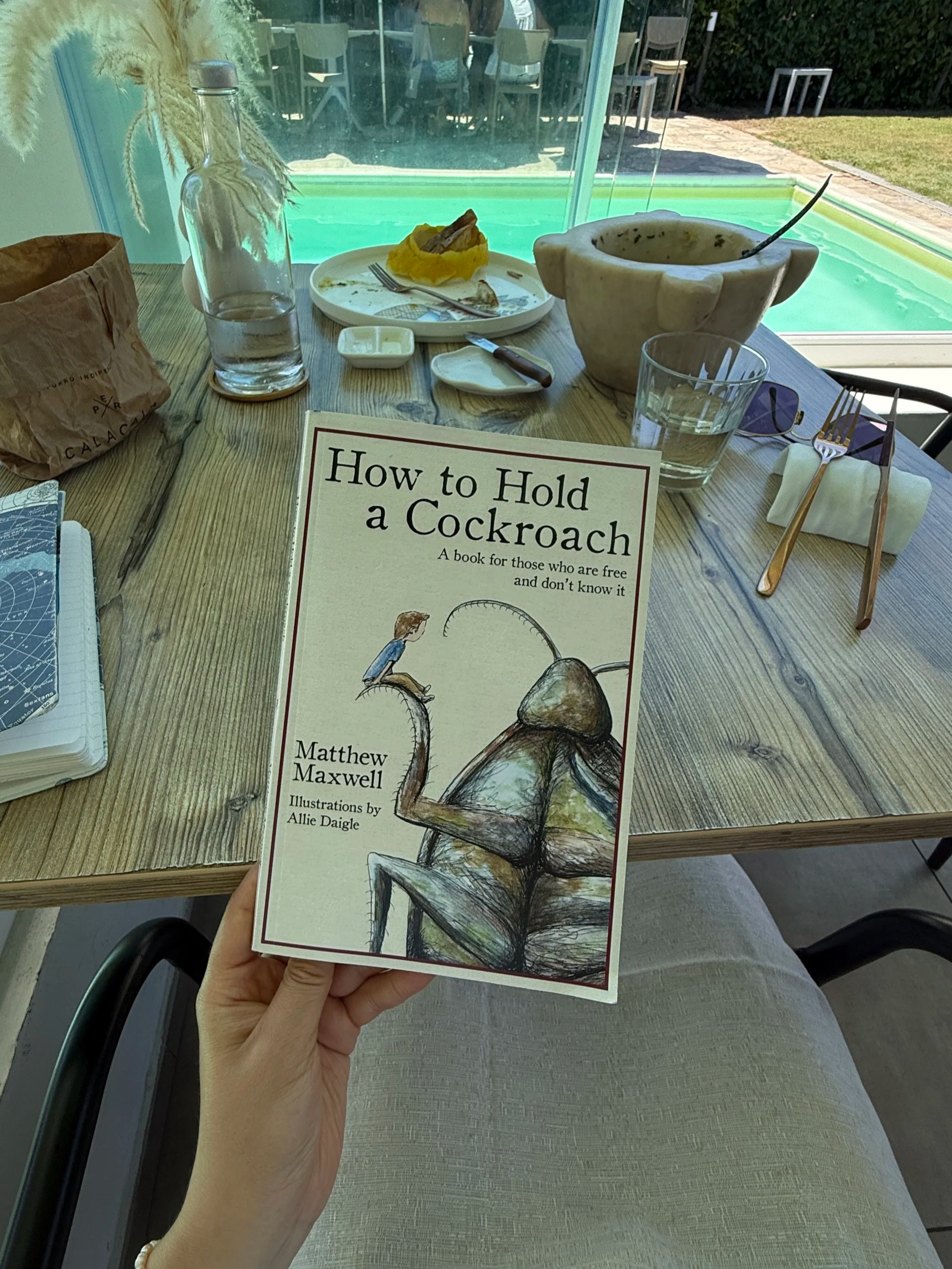 How to Hold a Cockroach by Matthew Maxwell 