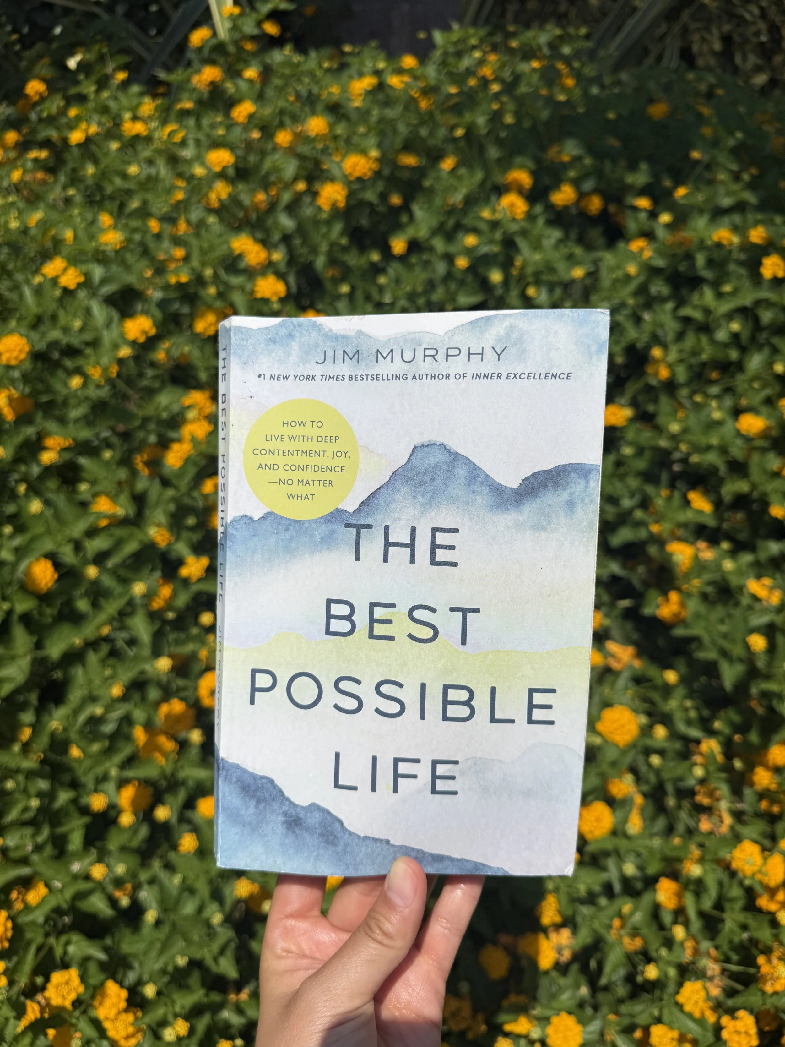The Best Possible Life by Jim Murphy&nbsp;