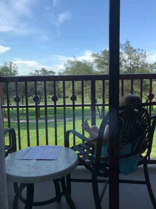 Snacking on a cookie and talking to a Giraffe