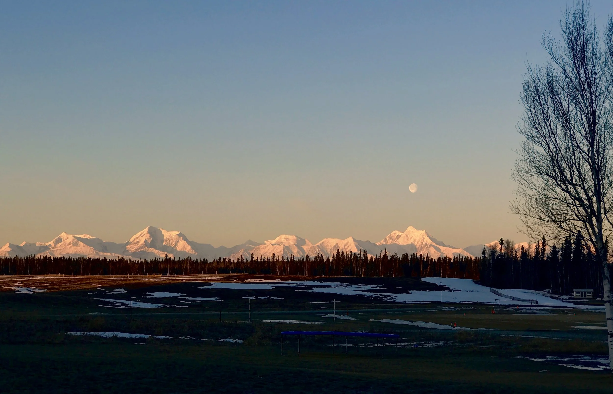 Moonrise over Mt Hayes