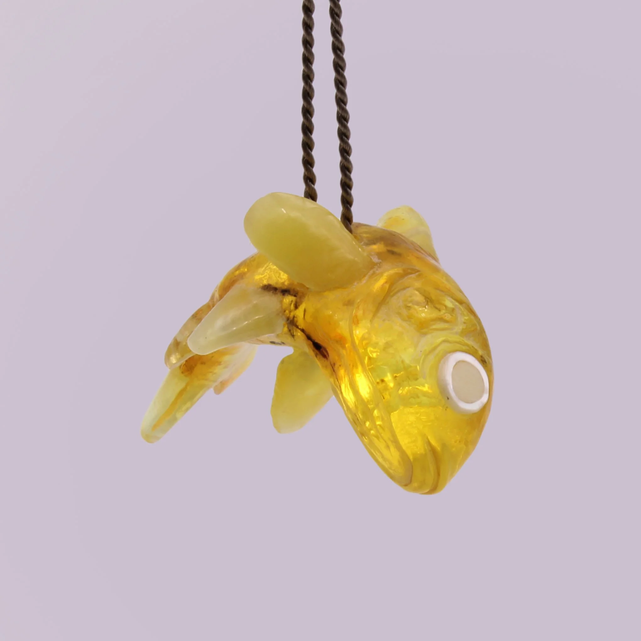 amberfisch1.jpg