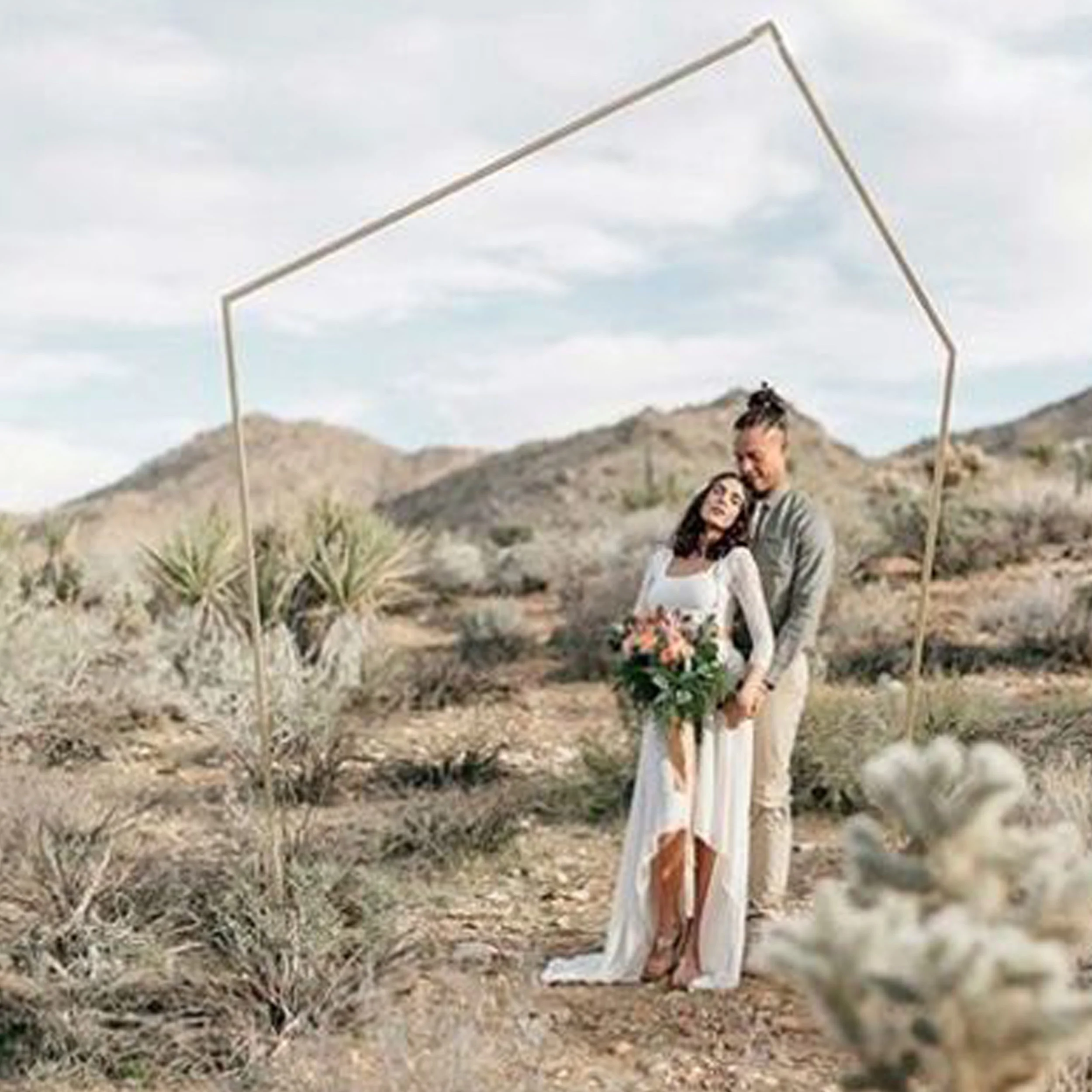 B A C K D R O P S and D I V I D E R SUnique large scale elements to anchor your main attraction or hide an unsightly distraction. Choose from metal, wood, artificial greenery, or live plants.