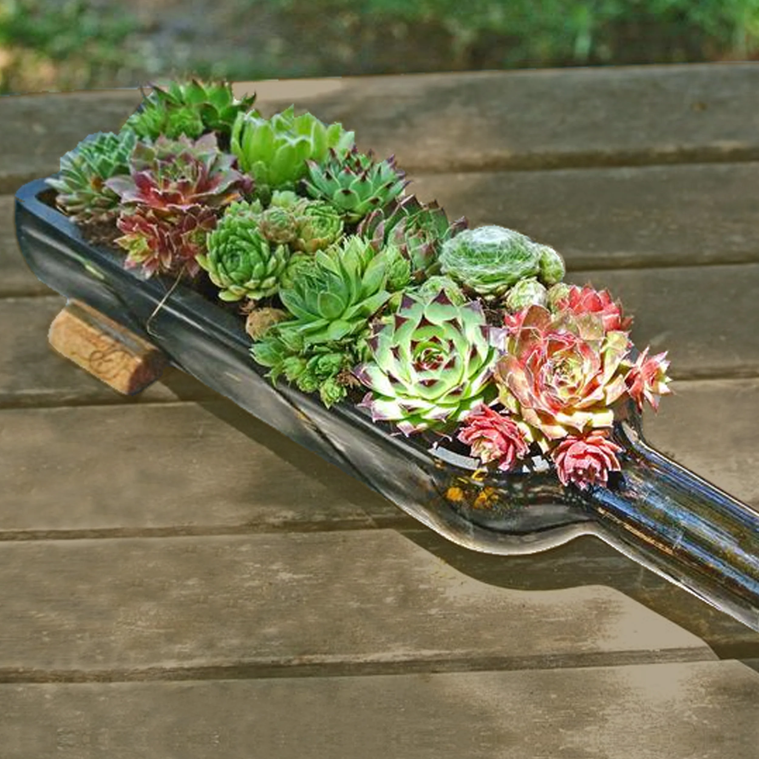 Succulent Wine Bottles