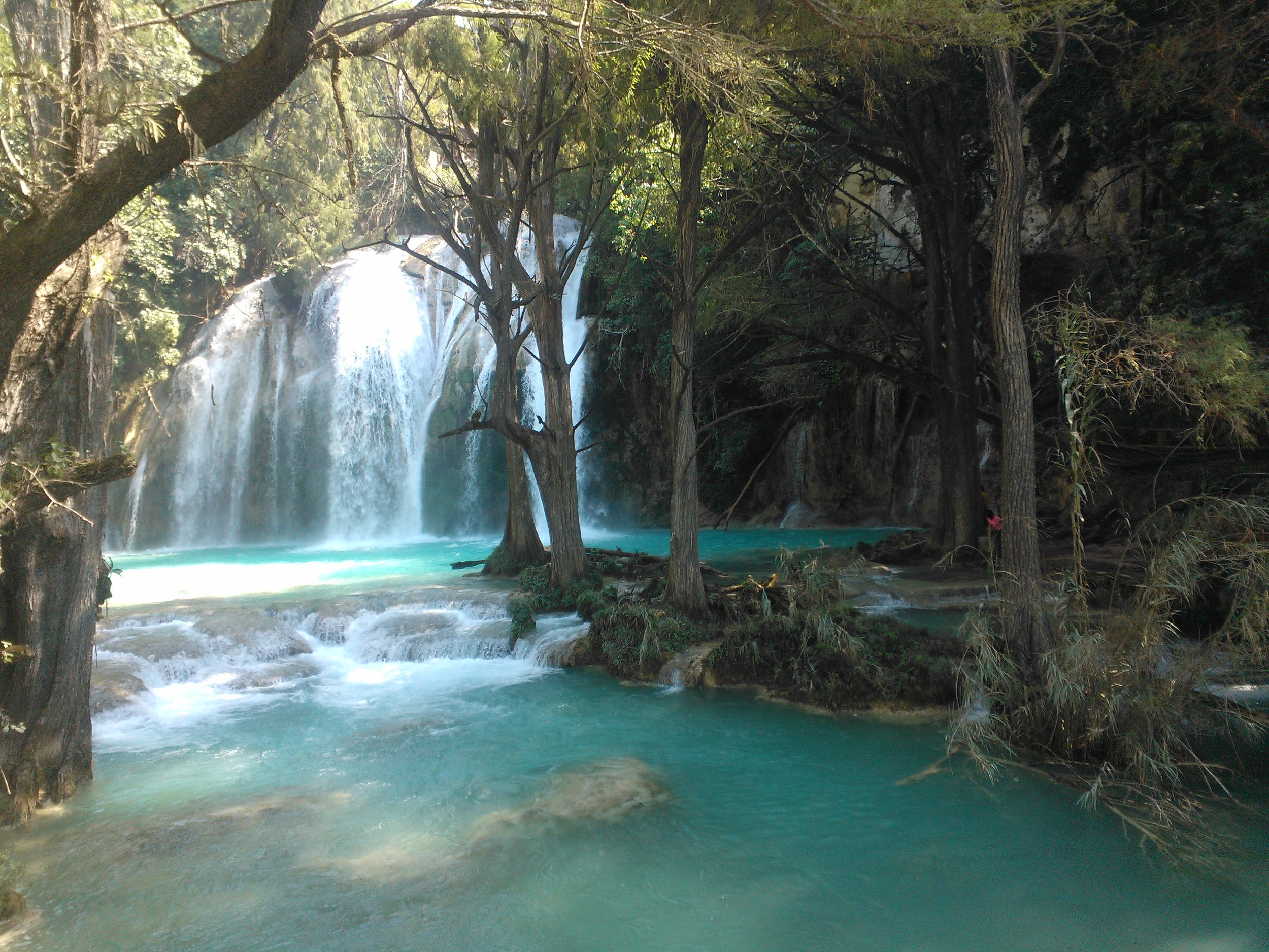 WP_000484.jpg
