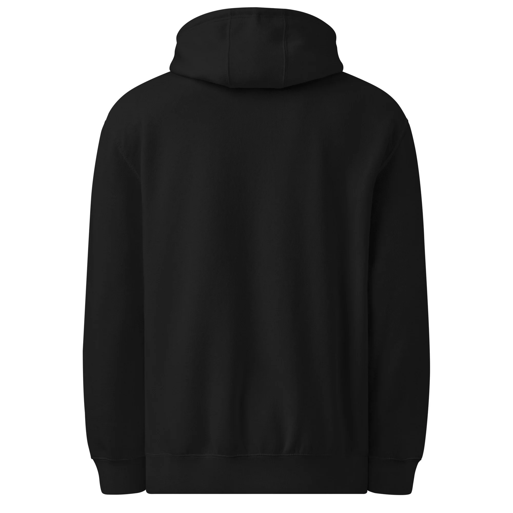 unisex-premium-mid-weight-hoodie-black-back-6871beb568b3d.jpg