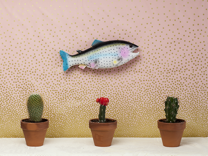Fish.png