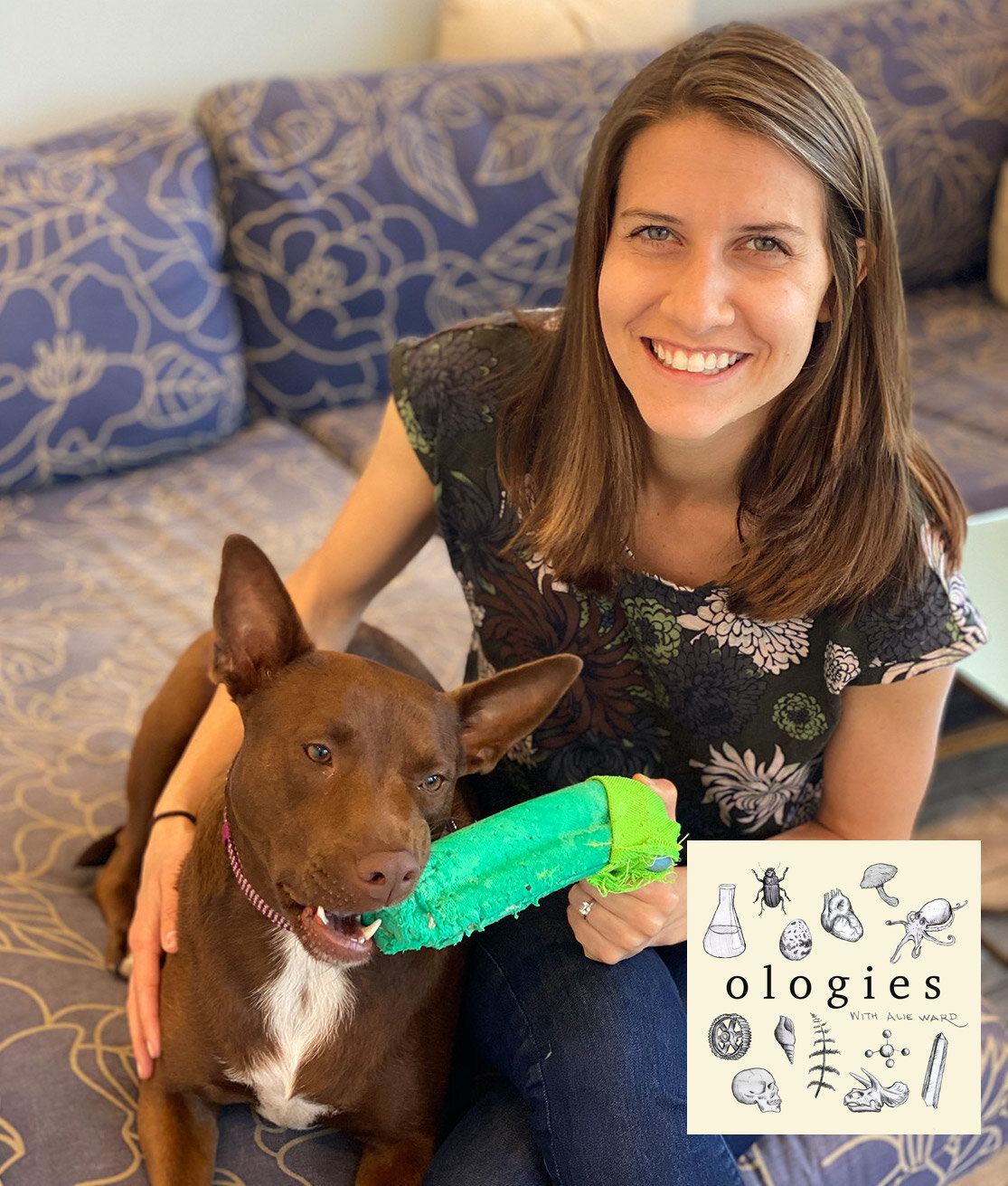 Speech Pathology (TALKING DOGS... AND PEOPLE) with Christina Hunger — alie  ward