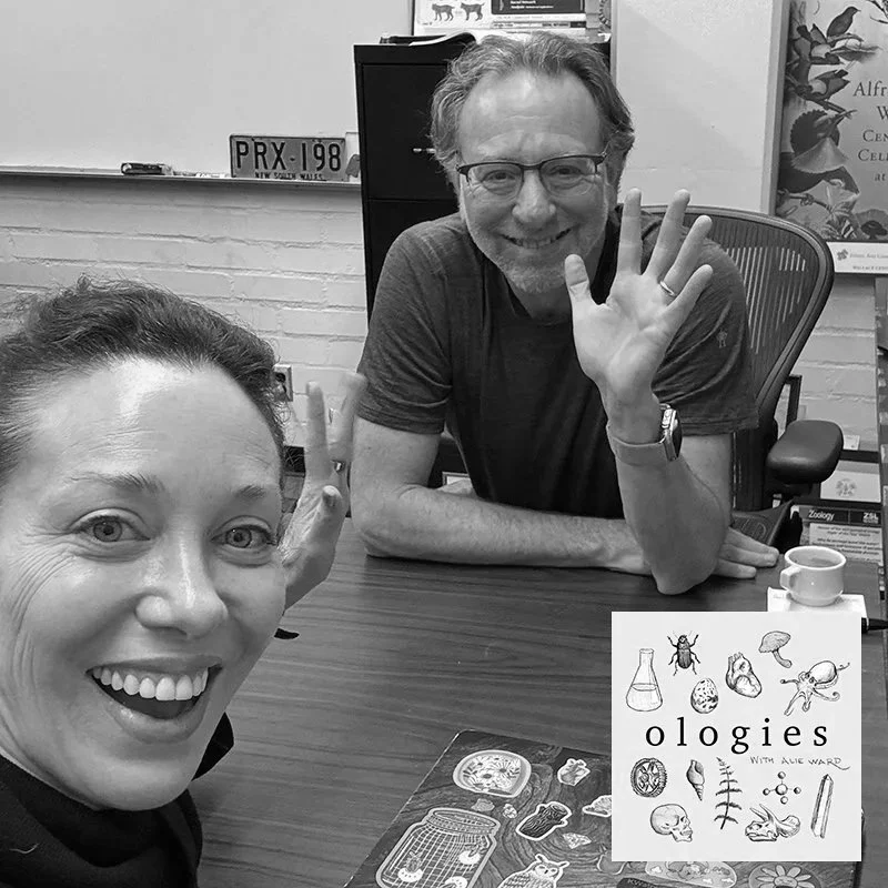 Marmotology (GROUNDHOGS) with Dr. Daniel Blumstein