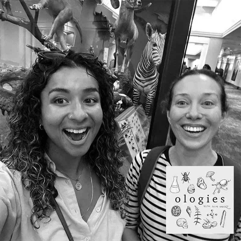 Paleohistology (WHY TEETH EXIST) with Dr. Yara Haridy