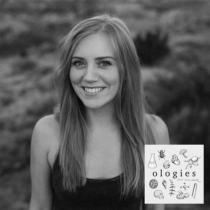 Megafelinology (SNOW LEOPARDS + OTHER BIG CATS) with Dr. Imogene Cancellare