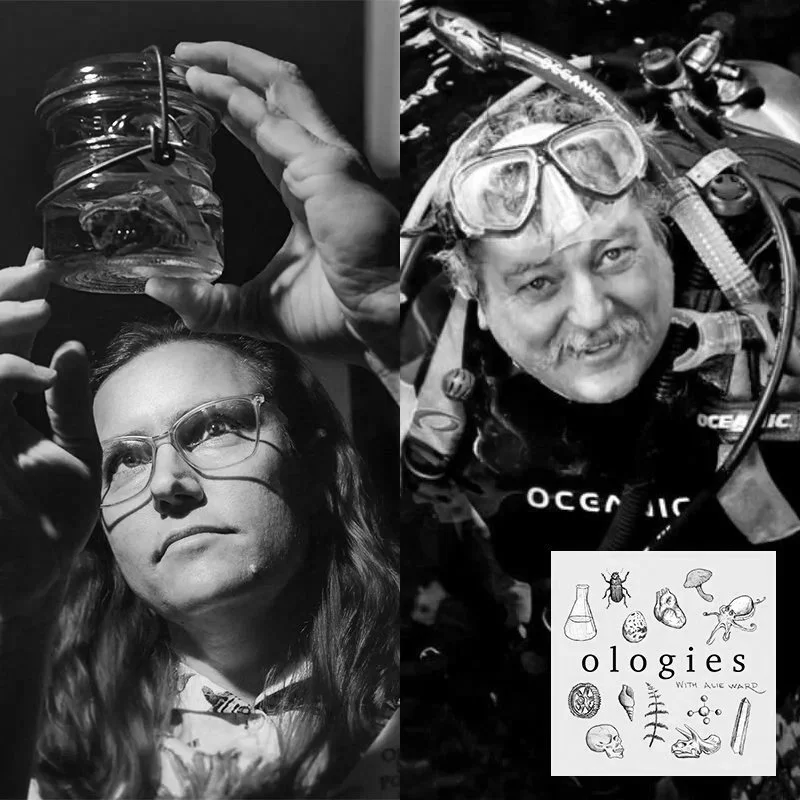 Nudibranchology (GLAMOROUS SEA SLUGS) with Dr. Jessica Goodheart and Dr. Terry Gosliner