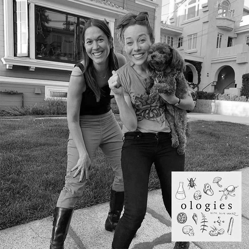 Dolorology (PAIN) Encore with Dr. Rachel Zoffness