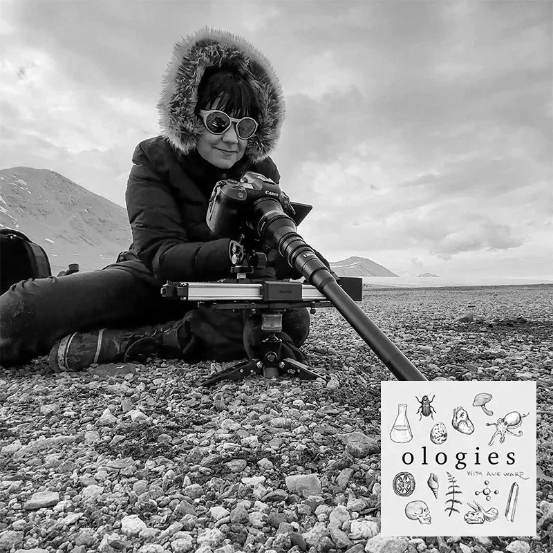 Antarcticology (ANTARCTIC RESEARCH) with Ariel Waldman