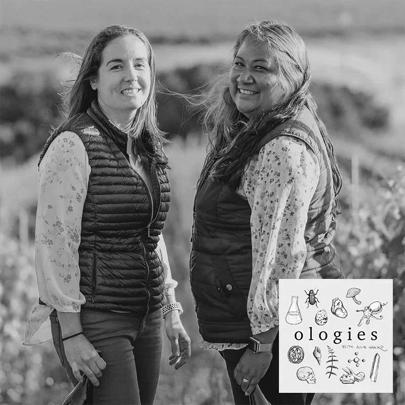 Enology (HOW TO MAKE WINE) with Tara Gomez and Mireia Taribó