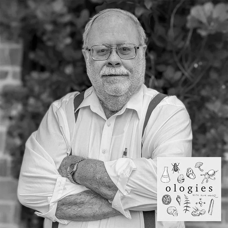 Collapsology (SOCIETAL COLLAPSE, LOL!) with Dr. Joseph Tainter