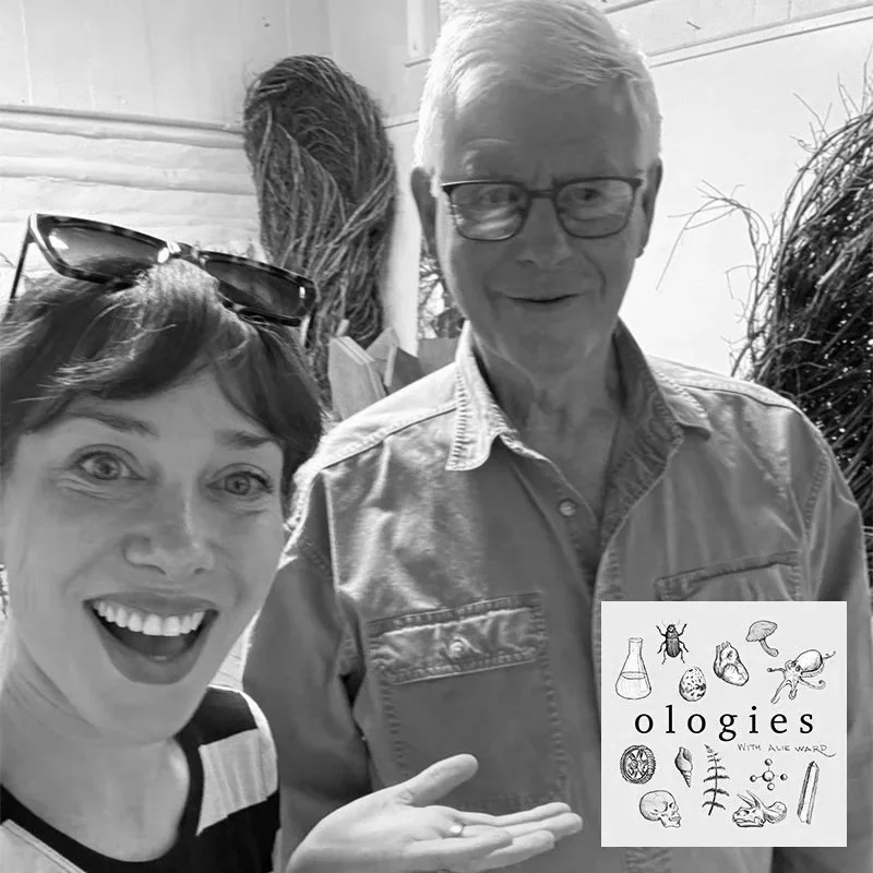 Salixology (WILLOWS &amp; SCULPTURE) with Patrick Dougherty