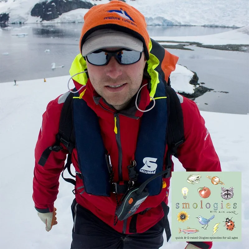 PENGUINS with Dr. Tom Hart