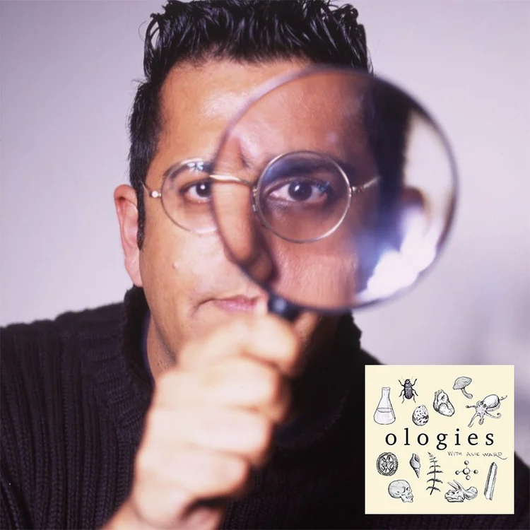 Cryptology (SECRET CODES) with Dr, Simon Singh — alie ward
