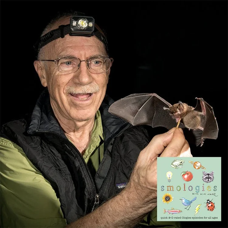 Merlin Turttle BATS with Merlin Tuttle — alie ward