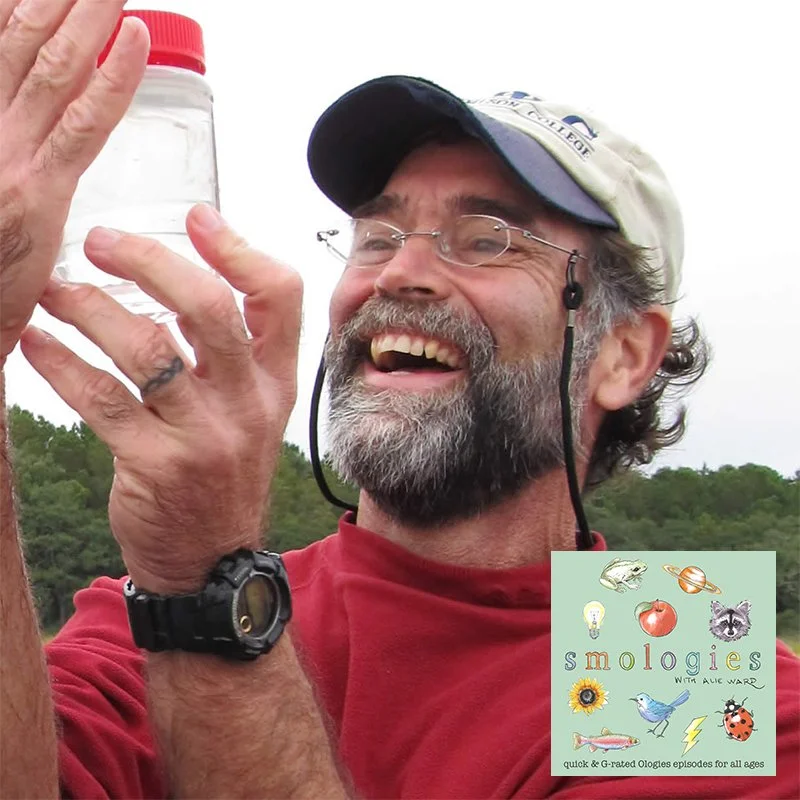 TARDIGRADES with Dr. Paul Bartels