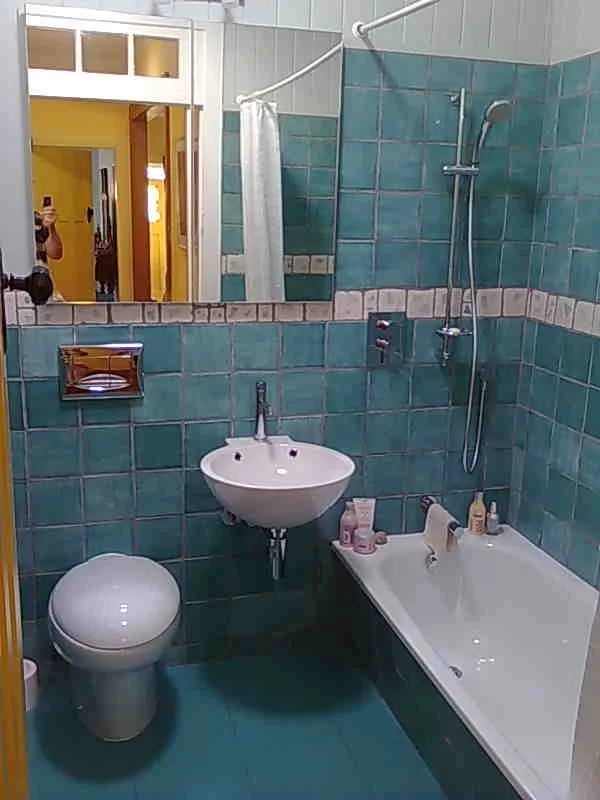 Green bathroom.jpg