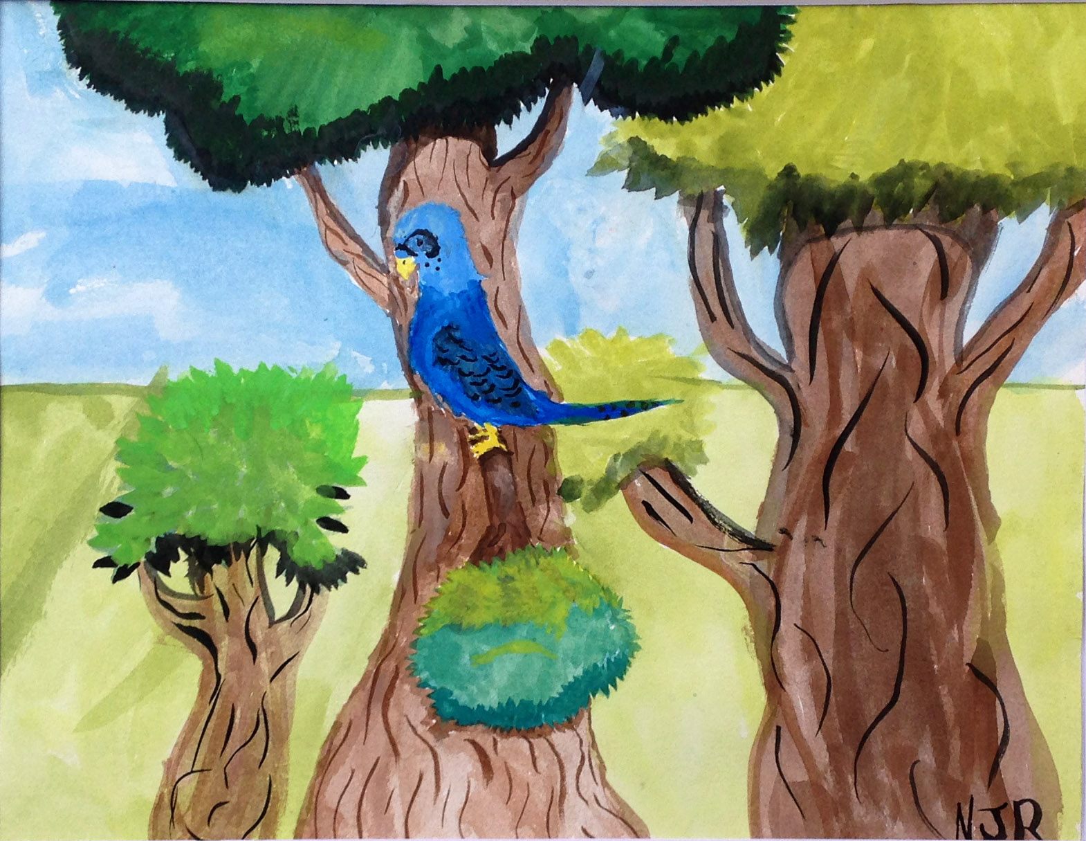 bird2_Jojo2.jpg