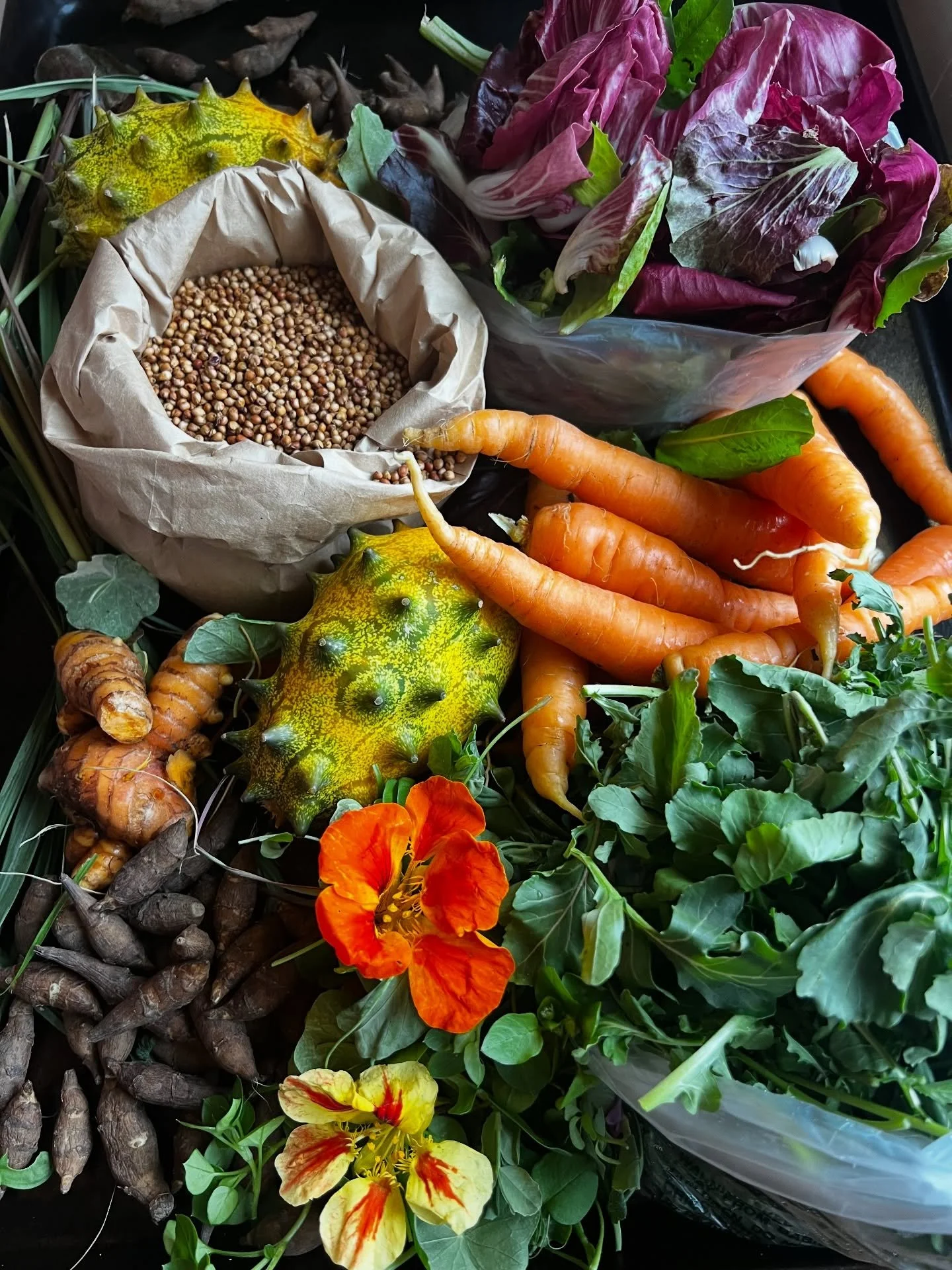 🤩 Would you believe me if I told you ALL of THIS is locally grown here in ALABAMA?!

4G Farms Produce
@4gfarmsproduce 

Offers unique offerings like specialty crops of SORGHUM, MELONS, TURMERIC, JERUSALEM ARTICHOKES and conventional produce you know