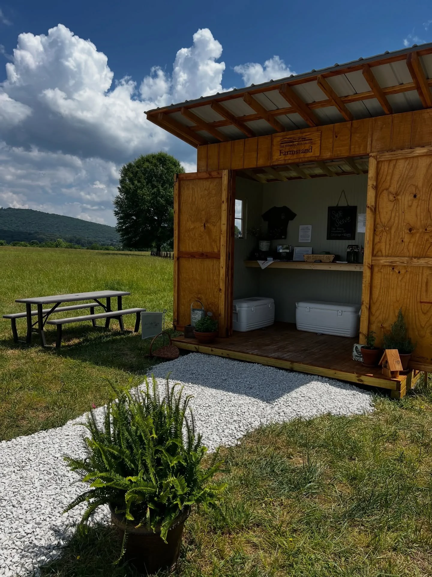 I was able to go home for a few days recently and was happy to discover that the beautiful, the iconic JONES VALLEY is now offering farm fresh eggs and flowers for purchase 🧑🏻&zwj;🌾 🐄 yes- that gorgeous valley you drive thru with rolling hills an