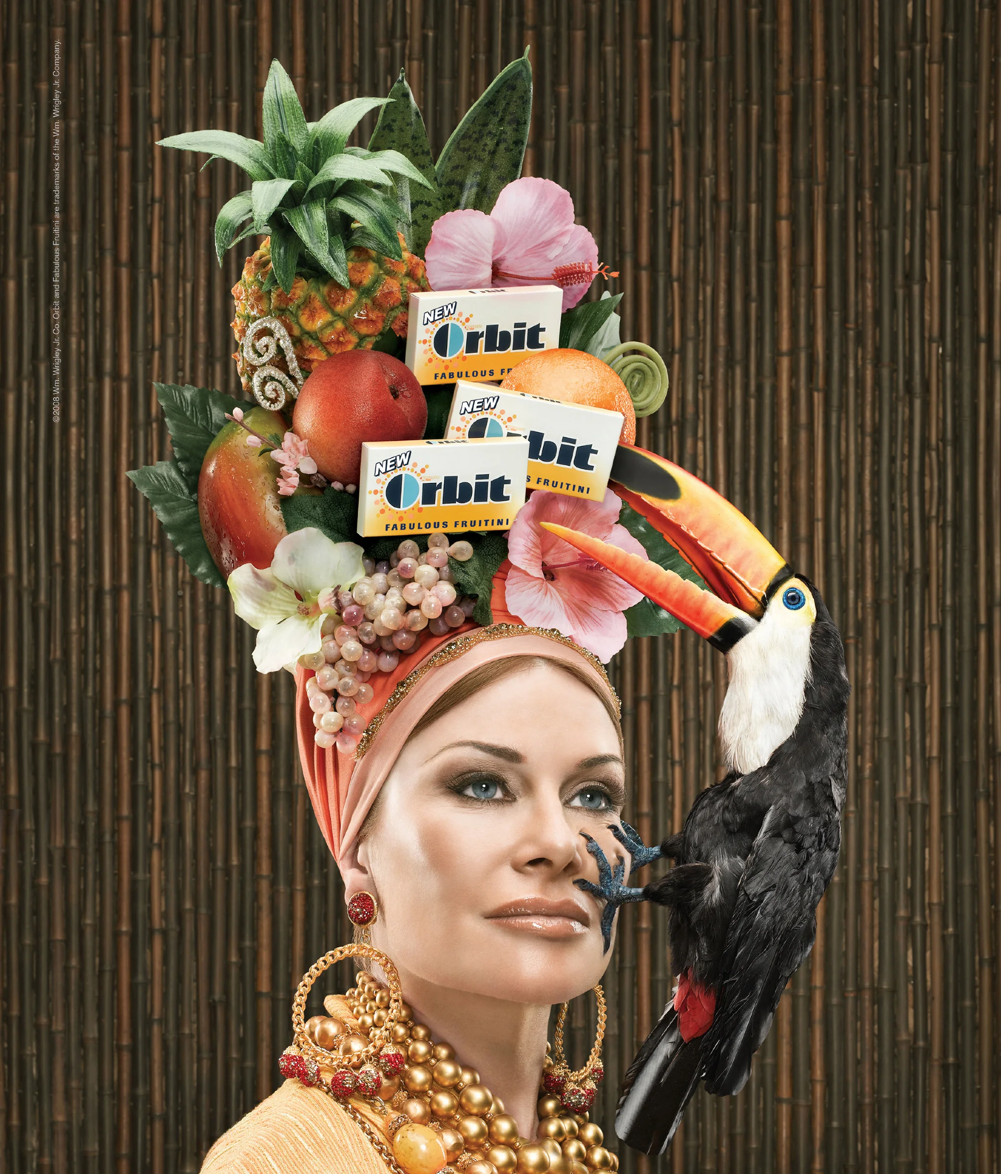 Toucan_o-1.jpg