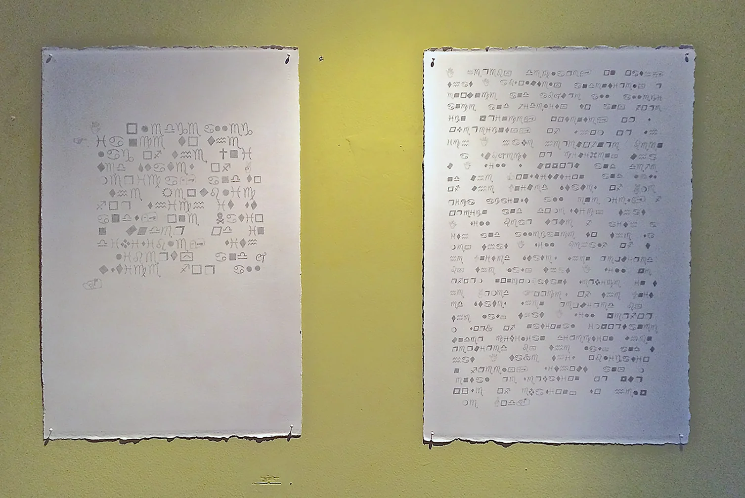 C. C. Ann Chen