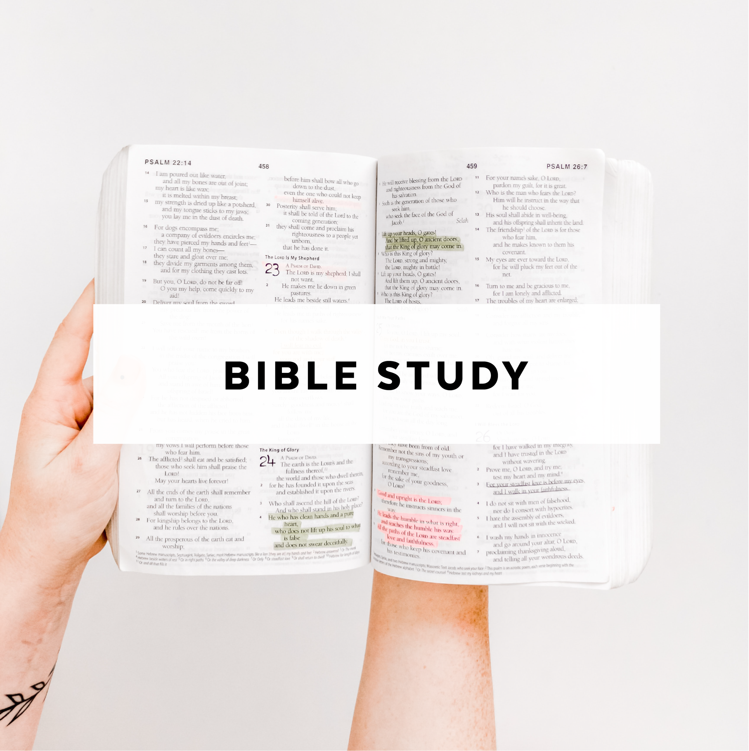 BibleStudy_TCCAnnArbor.png