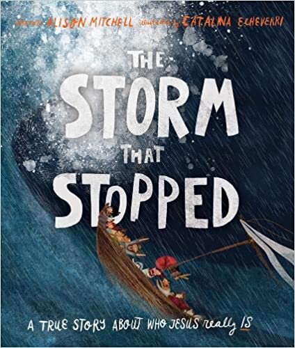 The Storm That Stopped (Tales That Tell the Truth) 