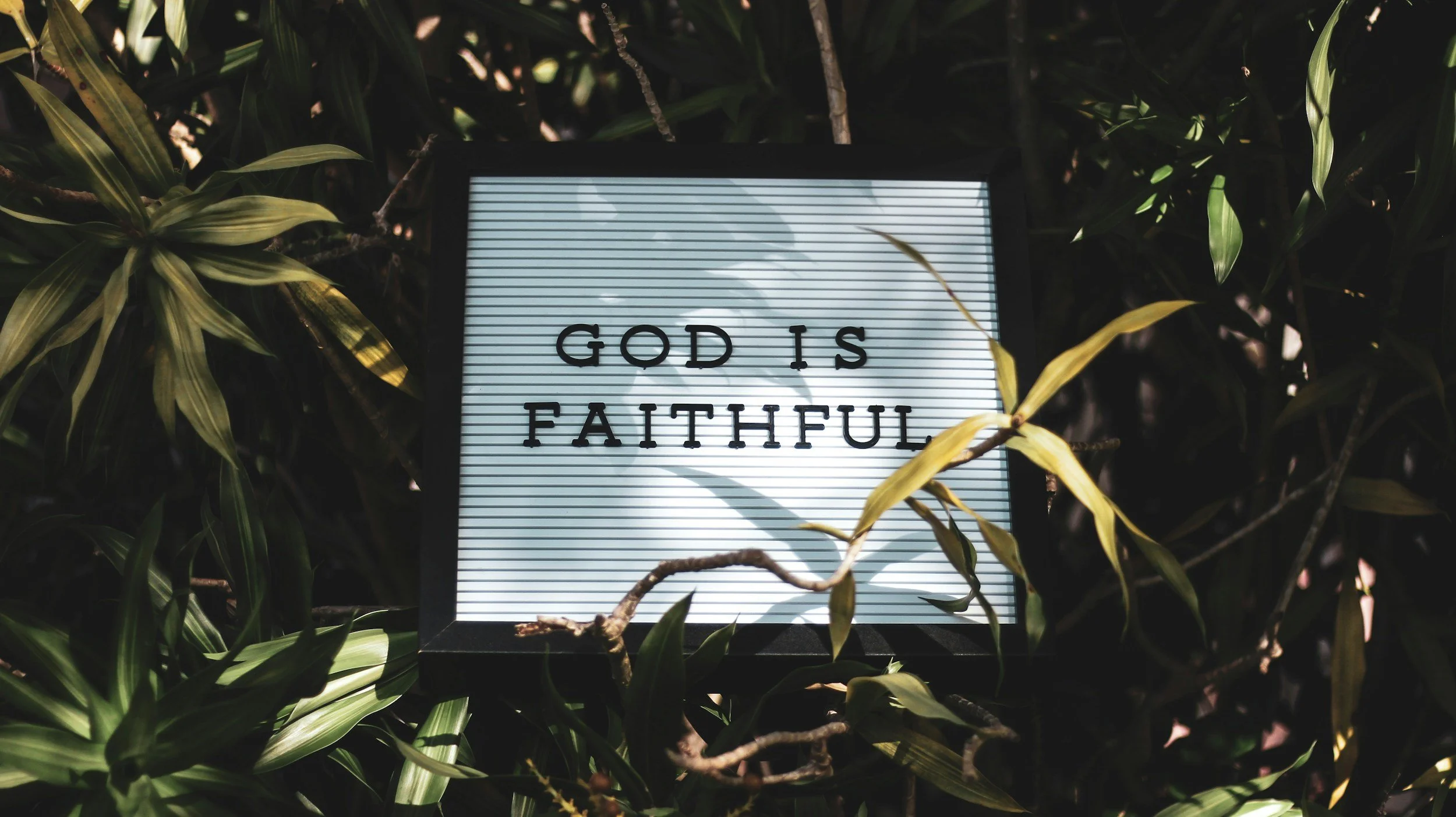 Gideon’s Faith