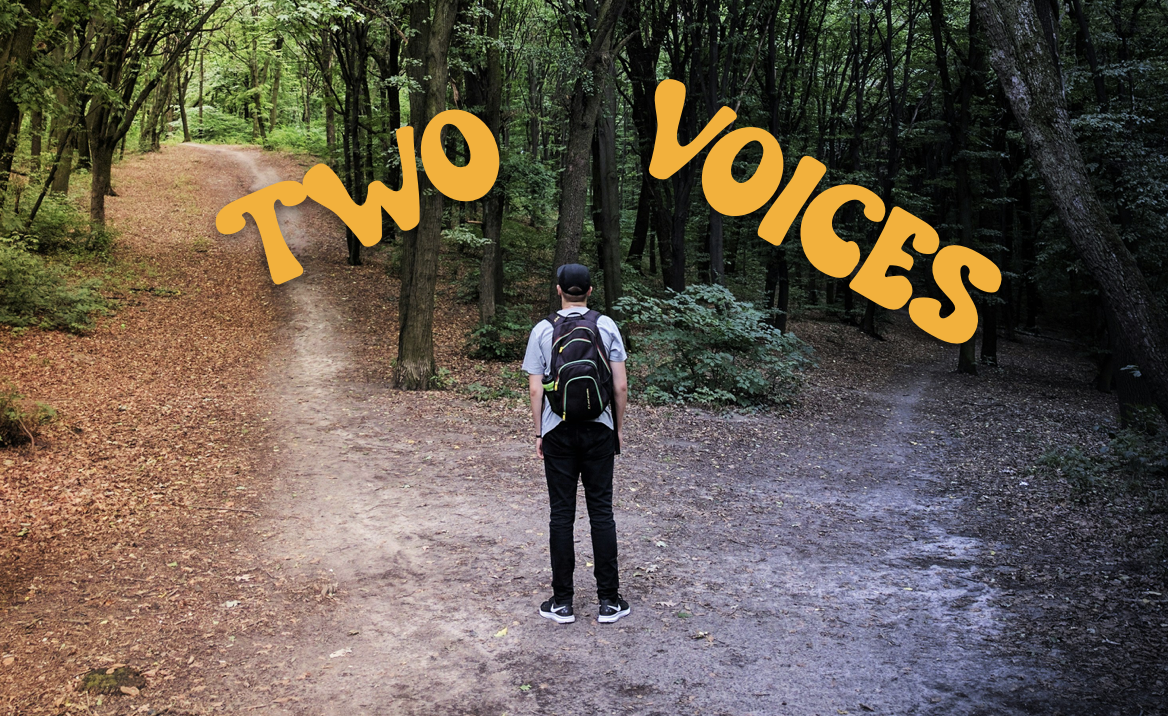 Two Voices