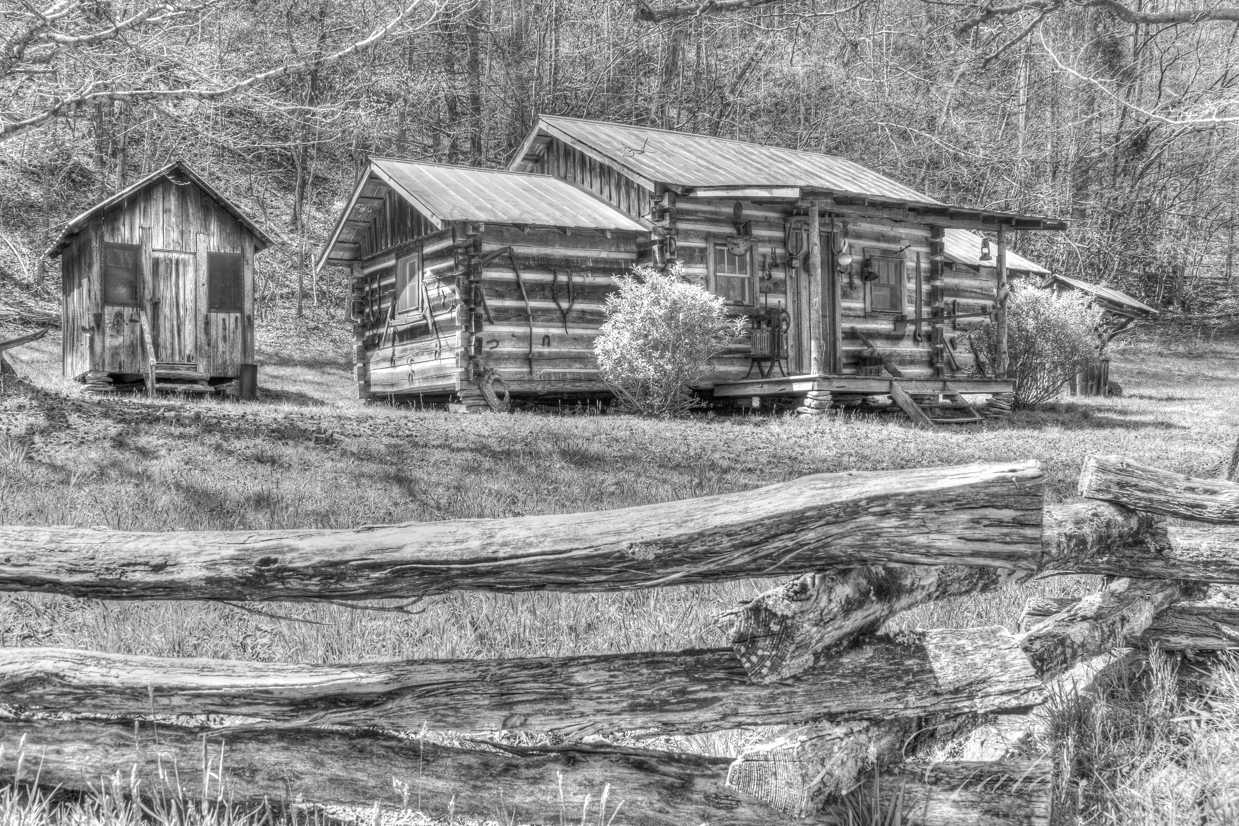 Appalachia Treasure