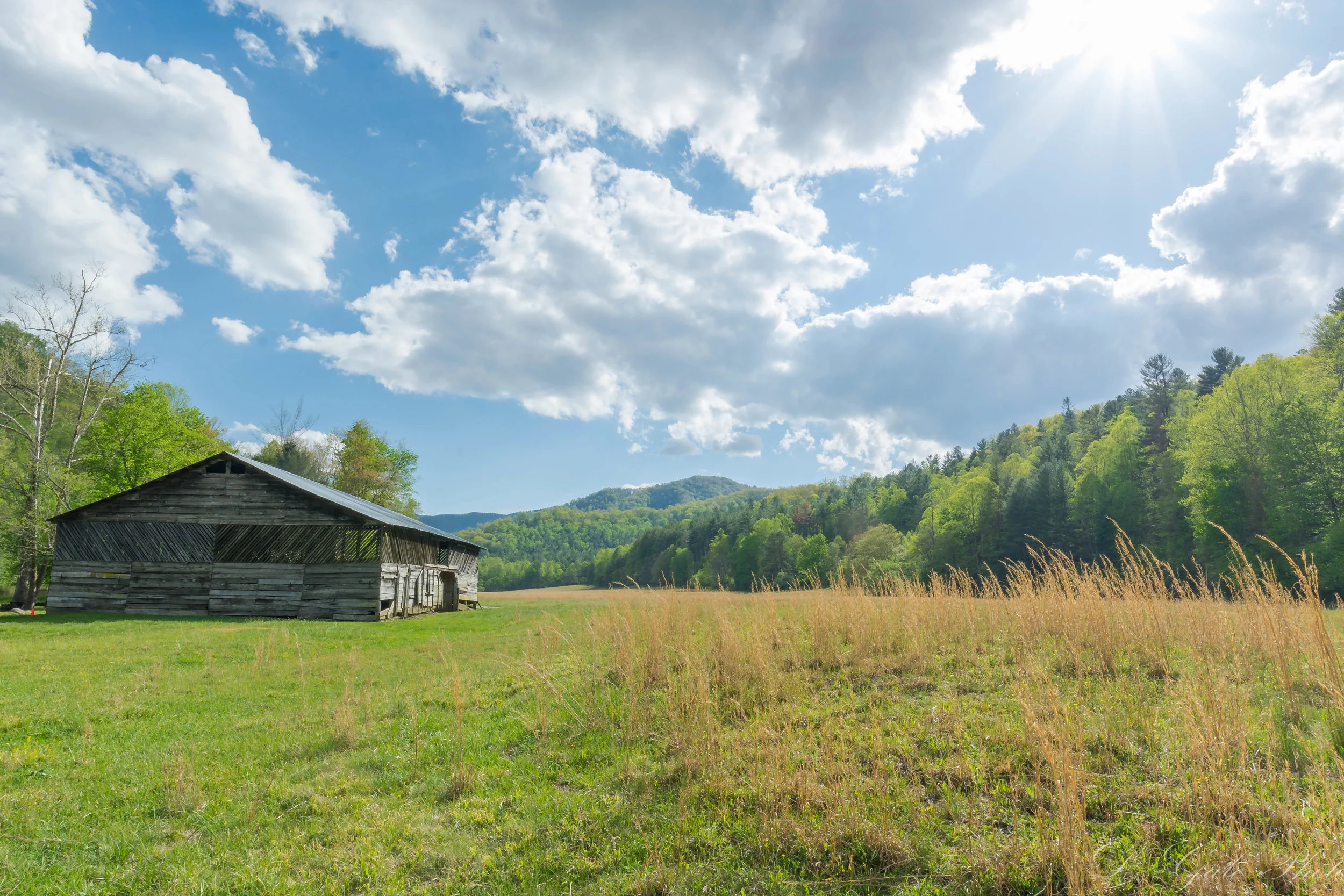 Appalachia Afternoon