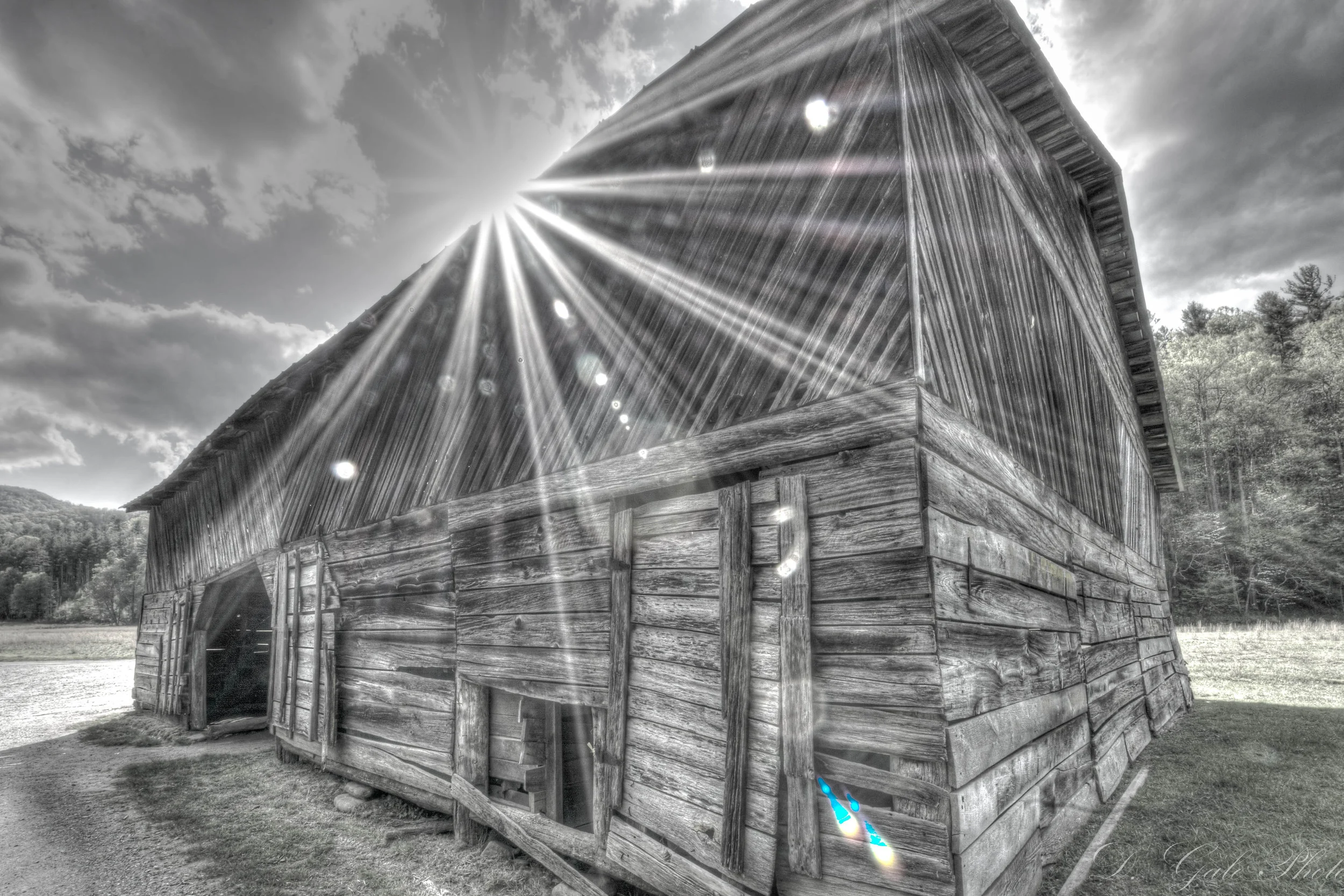 Backcountry Rays