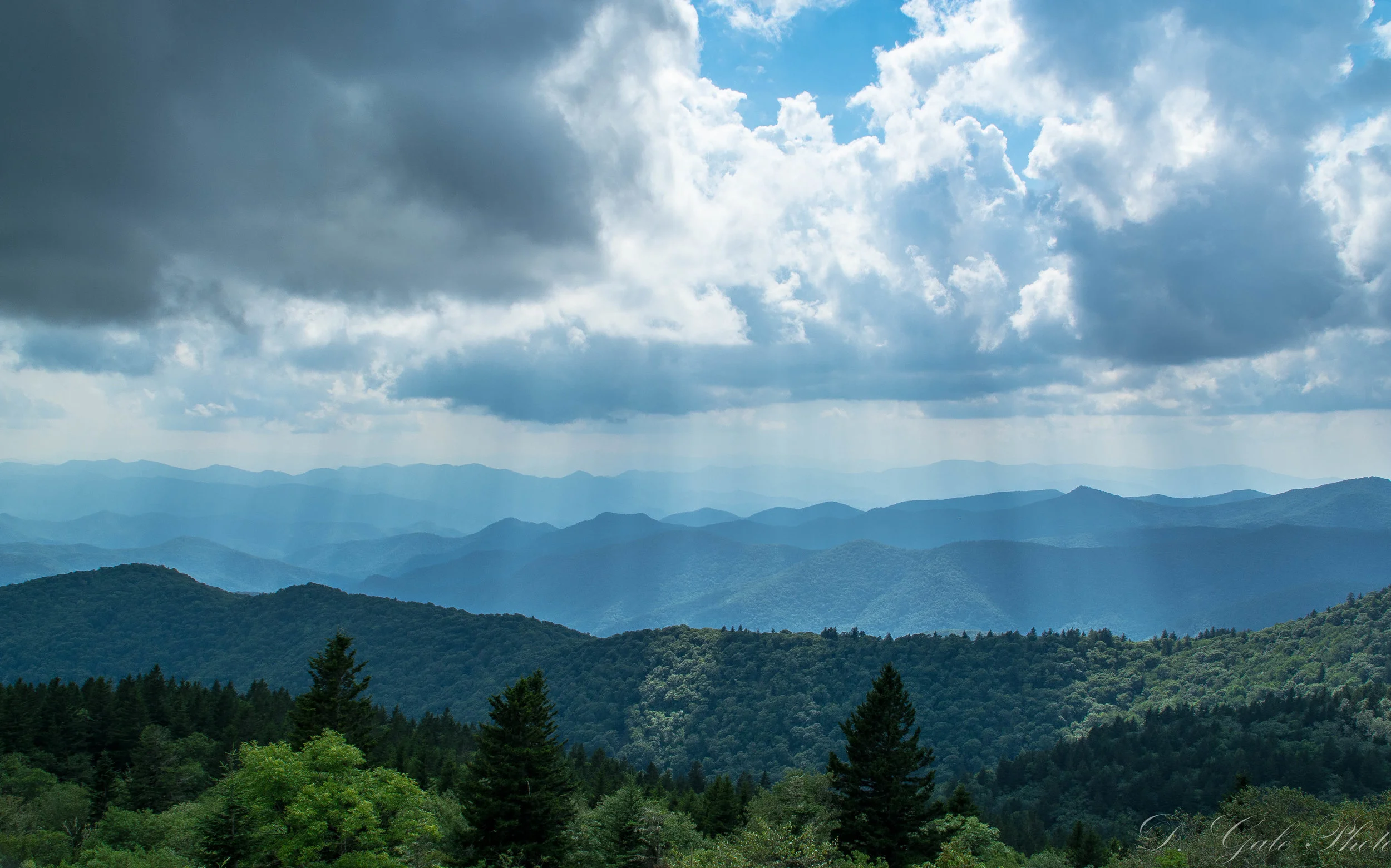Summer Afternoon on the Parkway