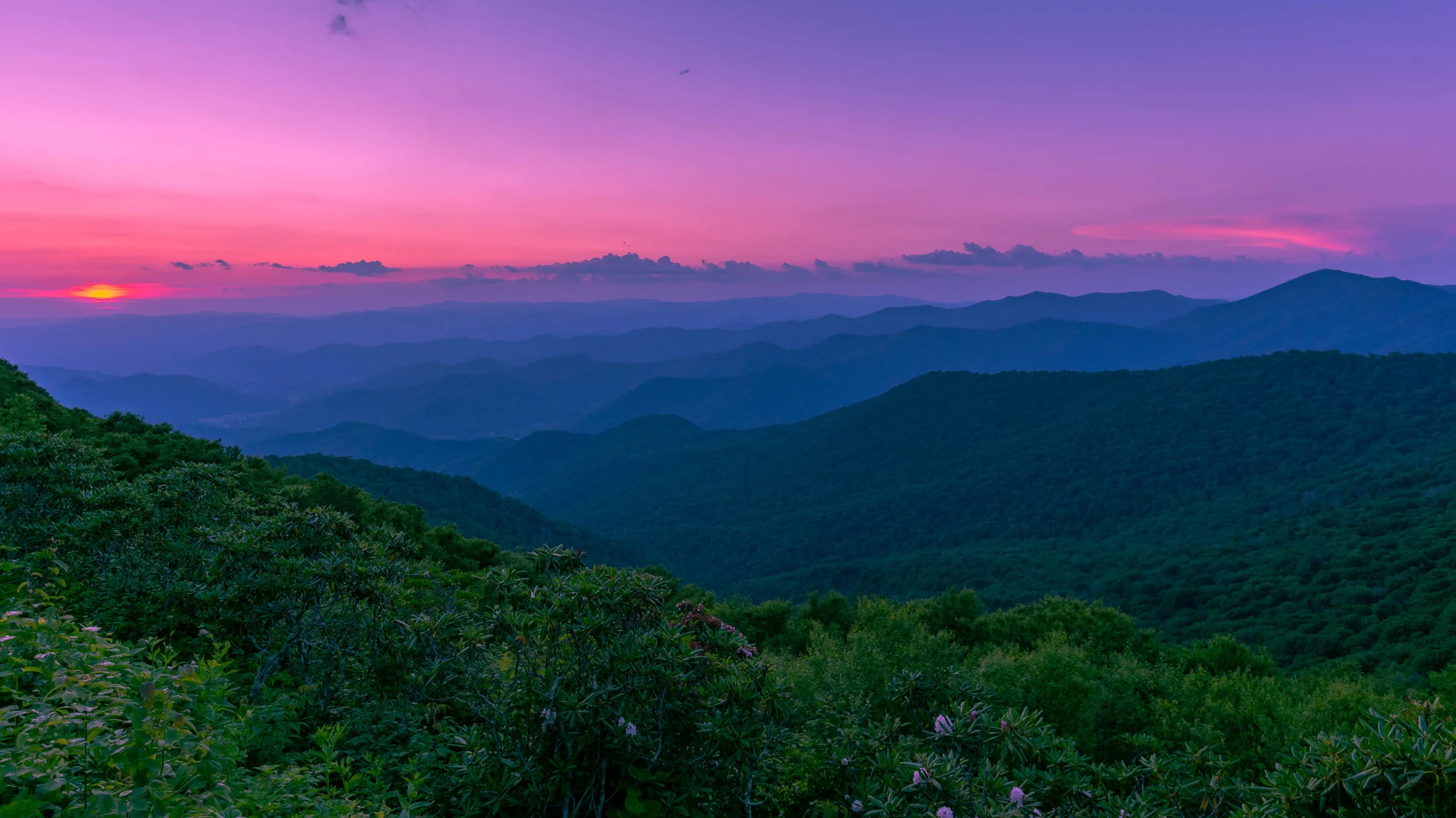 Summer Evening Sunset